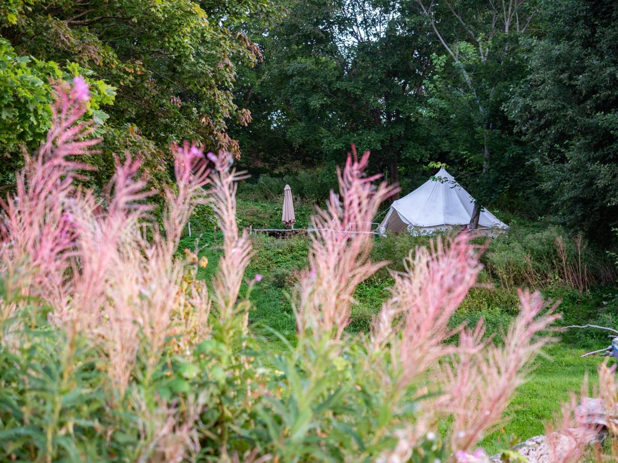 Mereaeaere Glamping Ja Rannamaja Liimala Екстер'єр фото