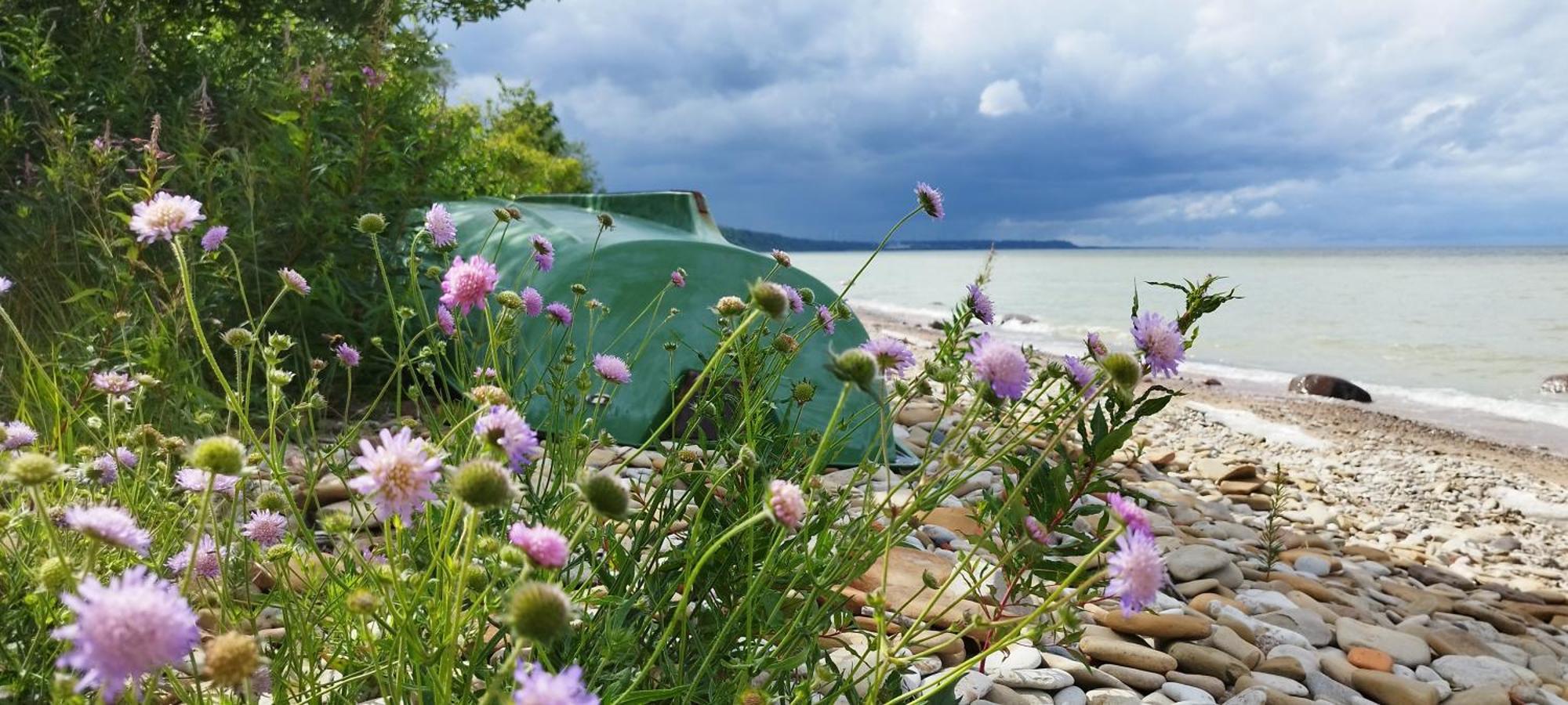 Mereaeaere Glamping Ja Rannamaja Liimala Екстер'єр фото